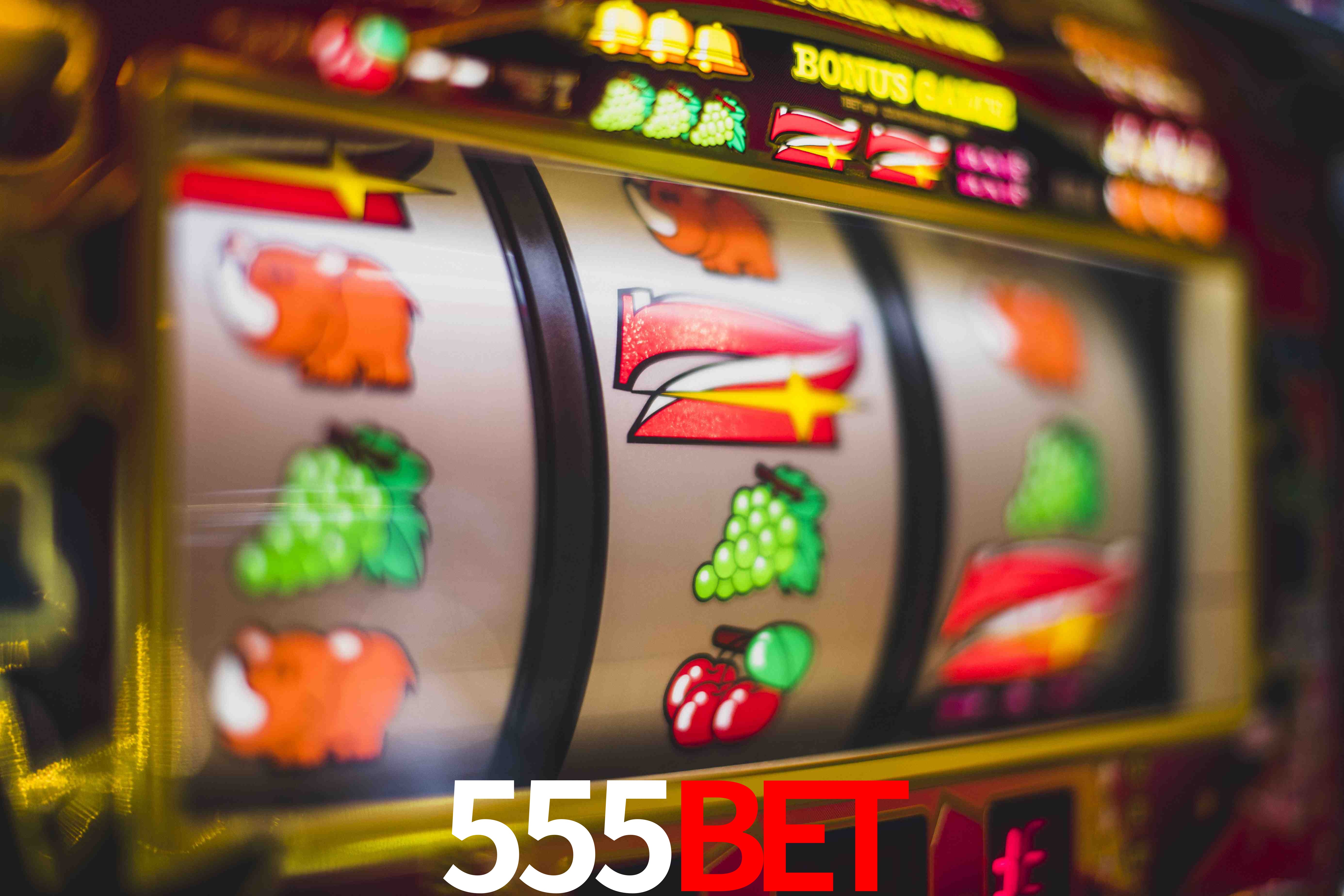 Roulette Table 555bet